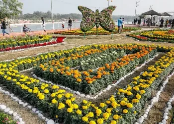ফুল উৎসবে বাহারি নকশায় ফুলের বিছানা সাজানো হয়। দর্শনার্থীরা সকল ধরণের ফুলের সৌন্দর্য দেখে মুগ্ধ হন। ডিসি পার্ক, সীতাকুণ্ড, চট্টগ্রাম