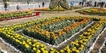 ফুল উৎসবে বাহারি নকশায় ফুলের বিছানা সাজানো হয়। দর্শনার্থীরা সকল ধরণের ফুলের সৌন্দর্য দেখে মুগ্ধ হন। ডিসি পার্ক, সীতাকুণ্ড, চট্টগ্রাম