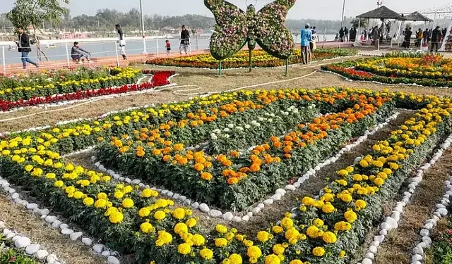 ফুল উৎসবে বাহারি নকশায় ফুলের বিছানা সাজানো হয়। দর্শনার্থীরা সকল ধরণের ফুলের সৌন্দর্য দেখে মুগ্ধ হন। ডিসি পার্ক, সীতাকুণ্ড, চট্টগ্রাম